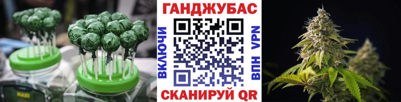 мега ТОР  Шуя  shop формула  купить  цена  Canna-Cookies конопля 