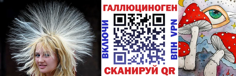 omg сайт  Шуя  Псилоцибиновые грибы Psilocybe 